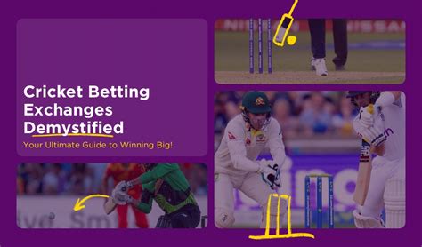 cricket betting exchange